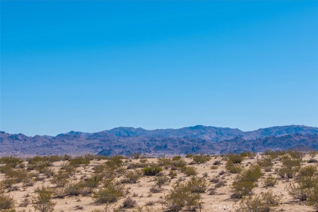 MLS #JT25059104 image #44