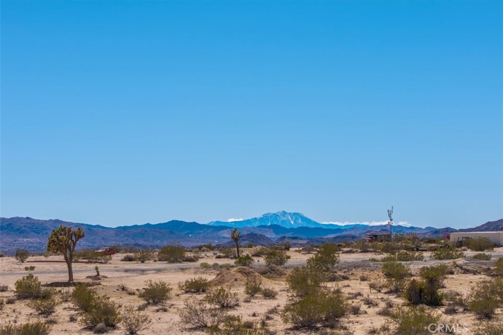 MLS #JT25059104 image #46