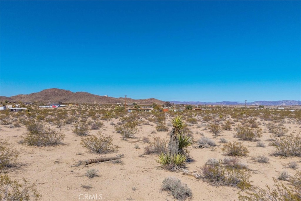 MLS #JT25059104 image #47