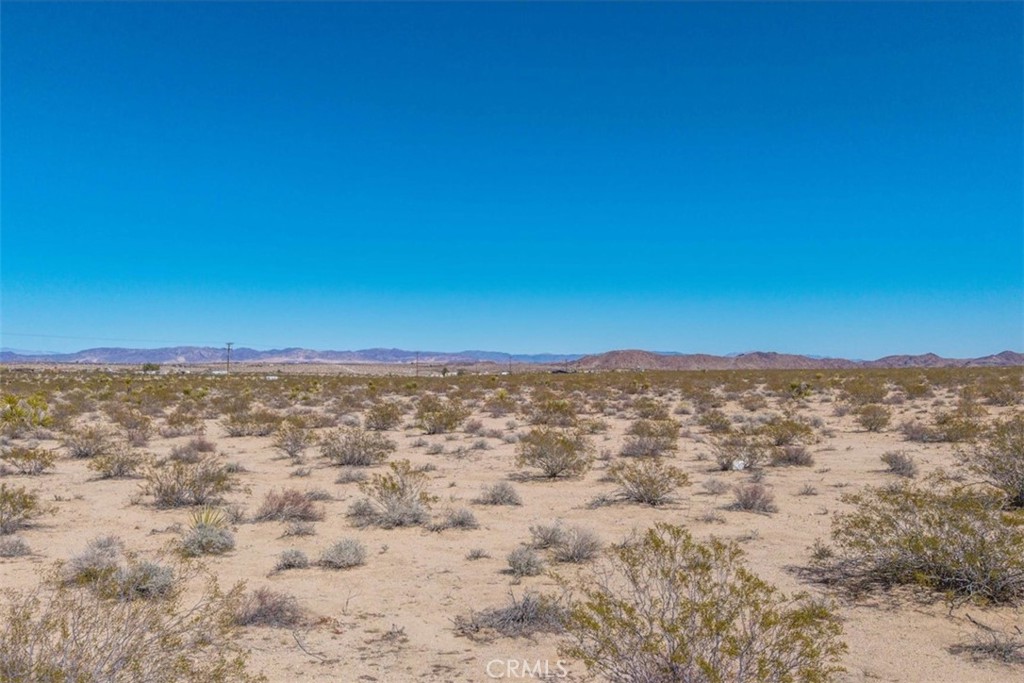 MLS #JT25059104 image #48