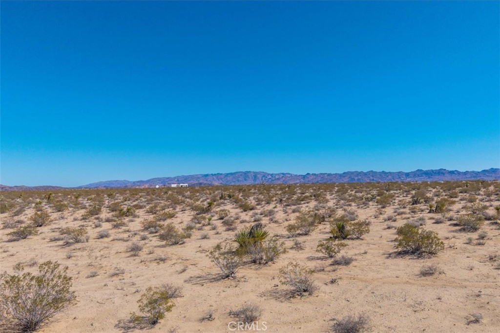 MLS #JT25059104 image #49