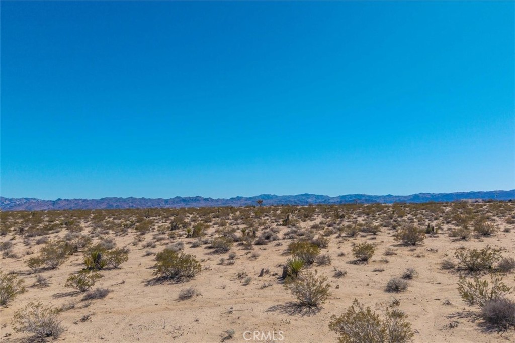 MLS #JT25059104 image #50