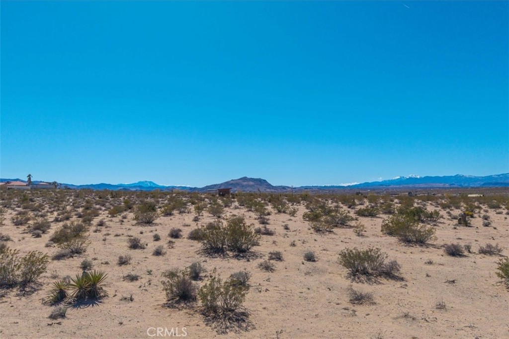 MLS #JT25059104 image #51