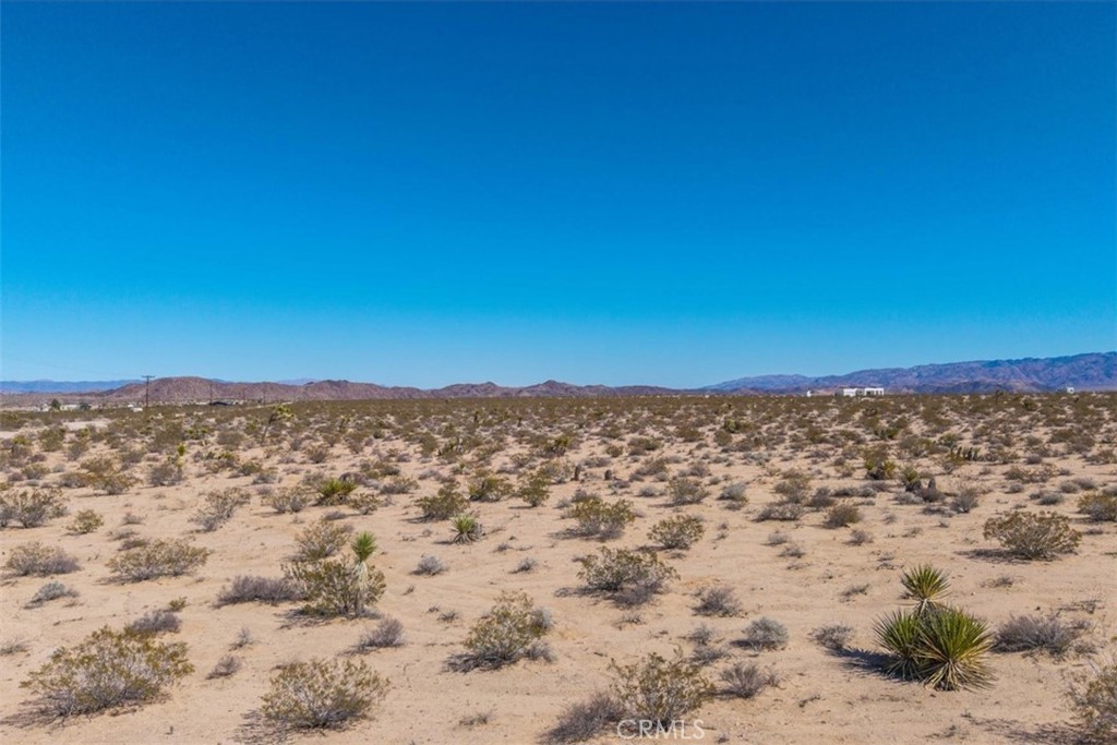 MLS #JT25059104 image #52