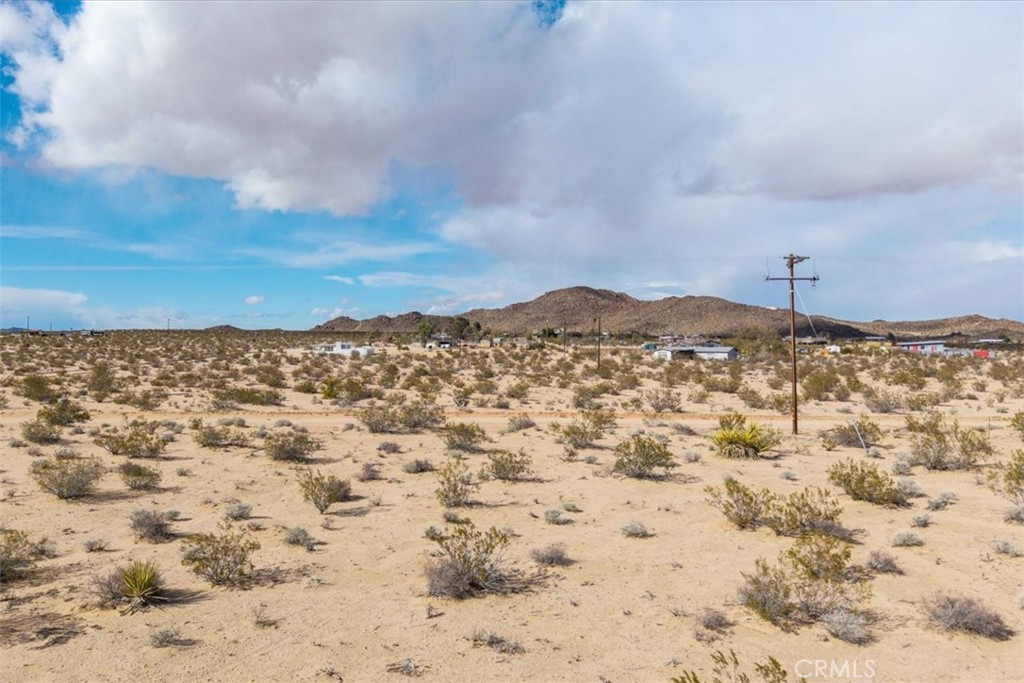 MLS #JT25059104 image #9