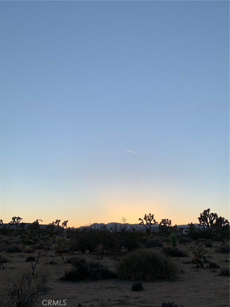 MLS #JT25060296 image #2