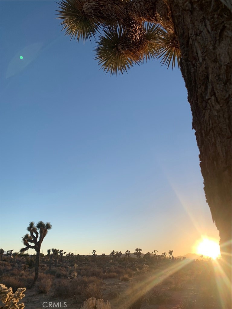 MLS #JT25060296 image #4