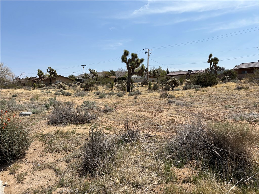 MLS #JT25060410 image #23