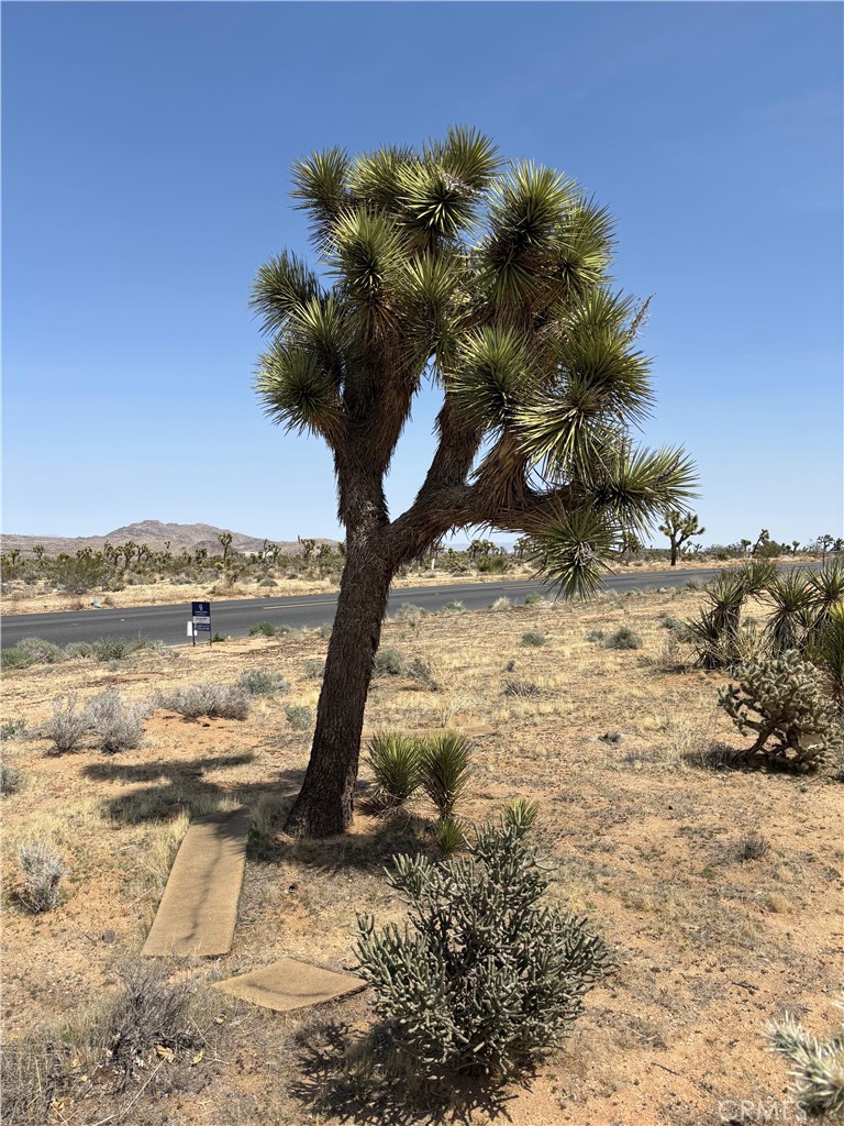 MLS #JT25060410 image #25