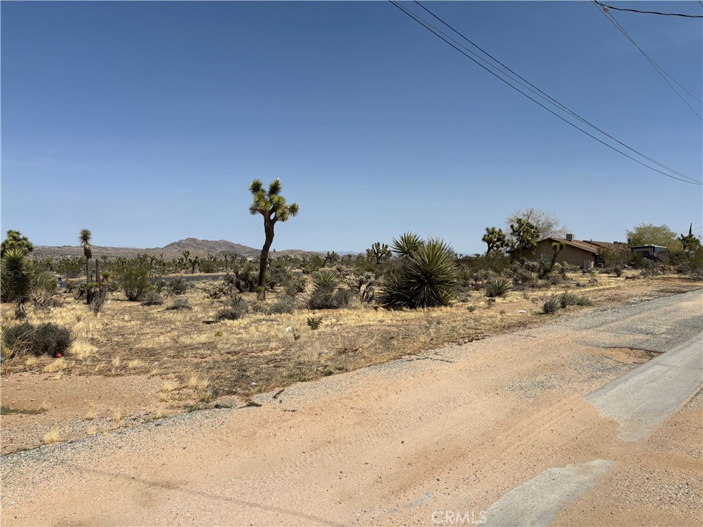 MLS #JT25060410 image #26