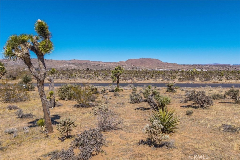 MLS #JT25060410 image #6