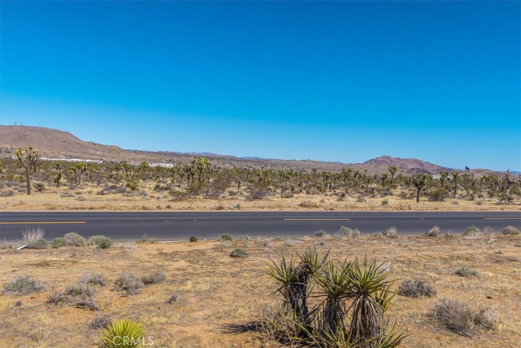 MLS #JT25060410 image #7