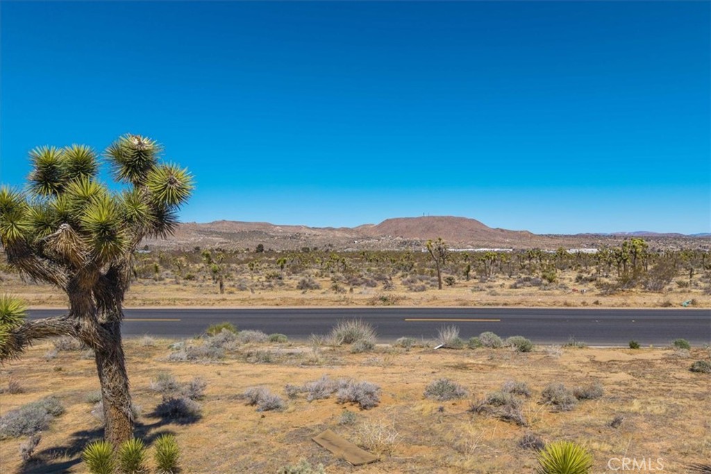 MLS #JT25060410 image #8