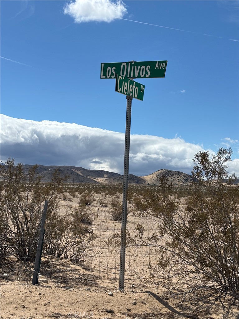 MLS #JT25060539 image #1