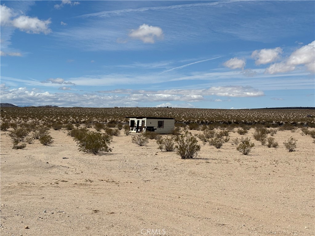 MLS #JT25060539 image #4