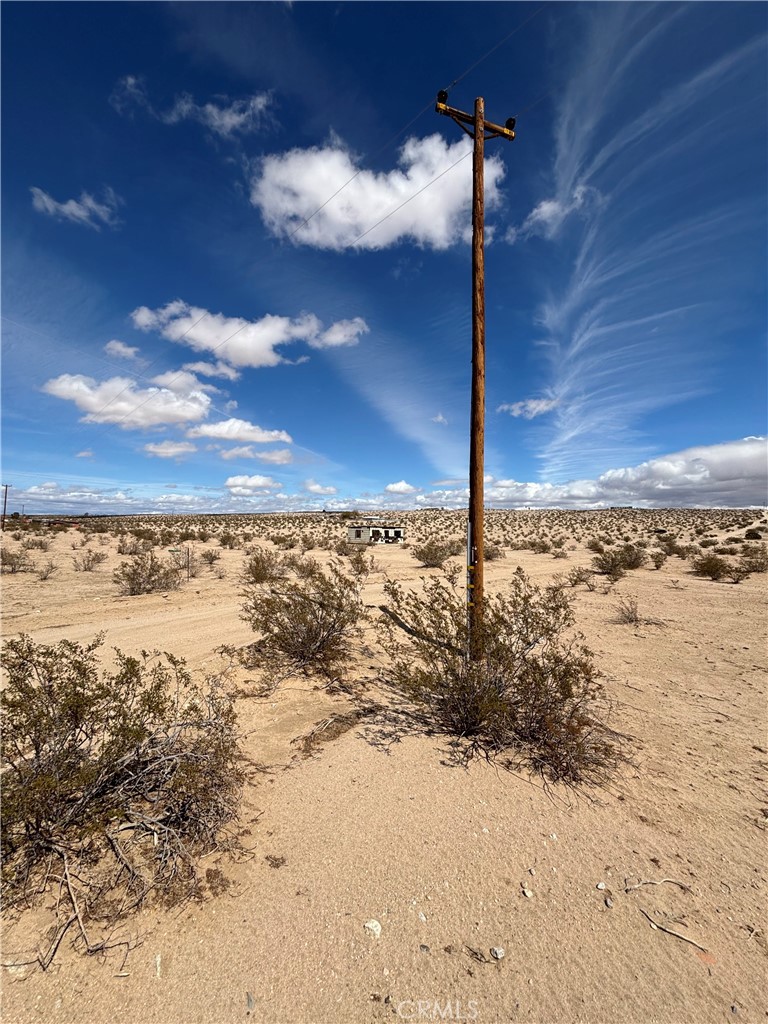 MLS #JT25060539 image #5