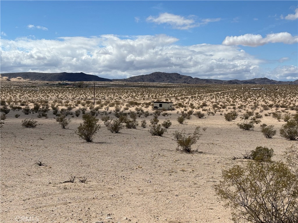 MLS #JT25060539 image #8