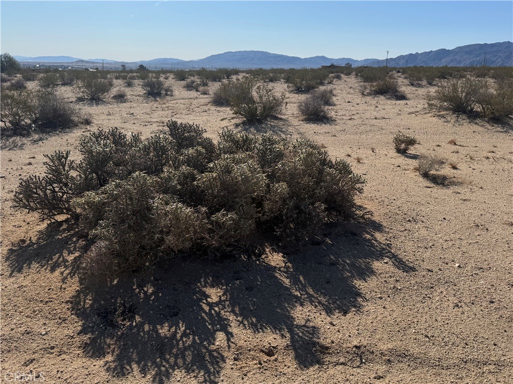 MLS #JT25062510 image #2