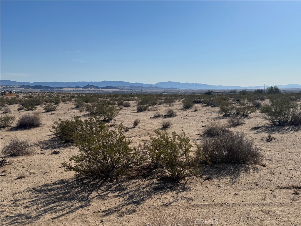 MLS #JT25062510 image #3