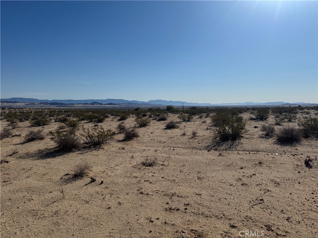 MLS #JT25062510 image #4