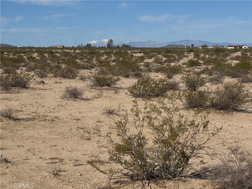 MLS #JT25062510 image #5