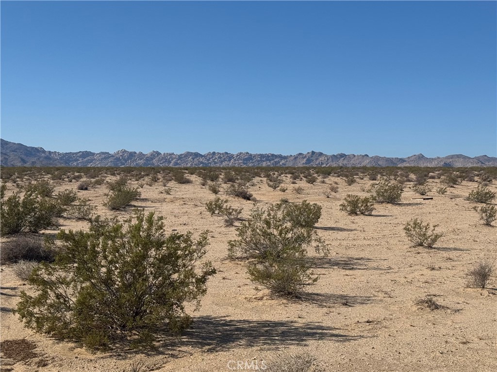 MLS #JT25062510 image #6