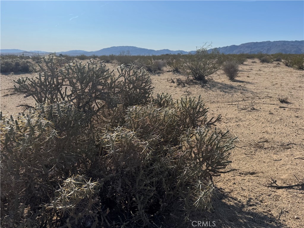 MLS #JT25062510 image #7