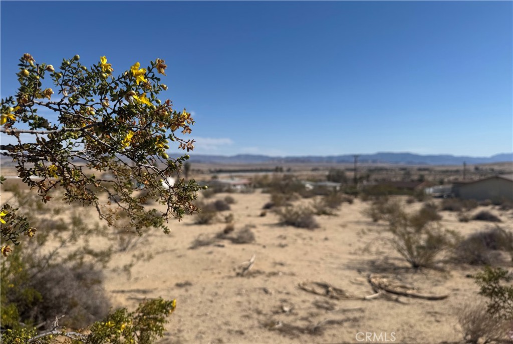 MLS #JT25062568 image #1