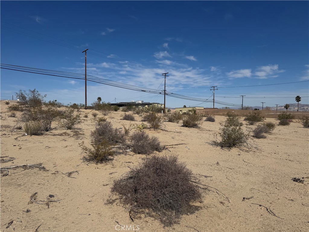 MLS #JT25062568 image #3