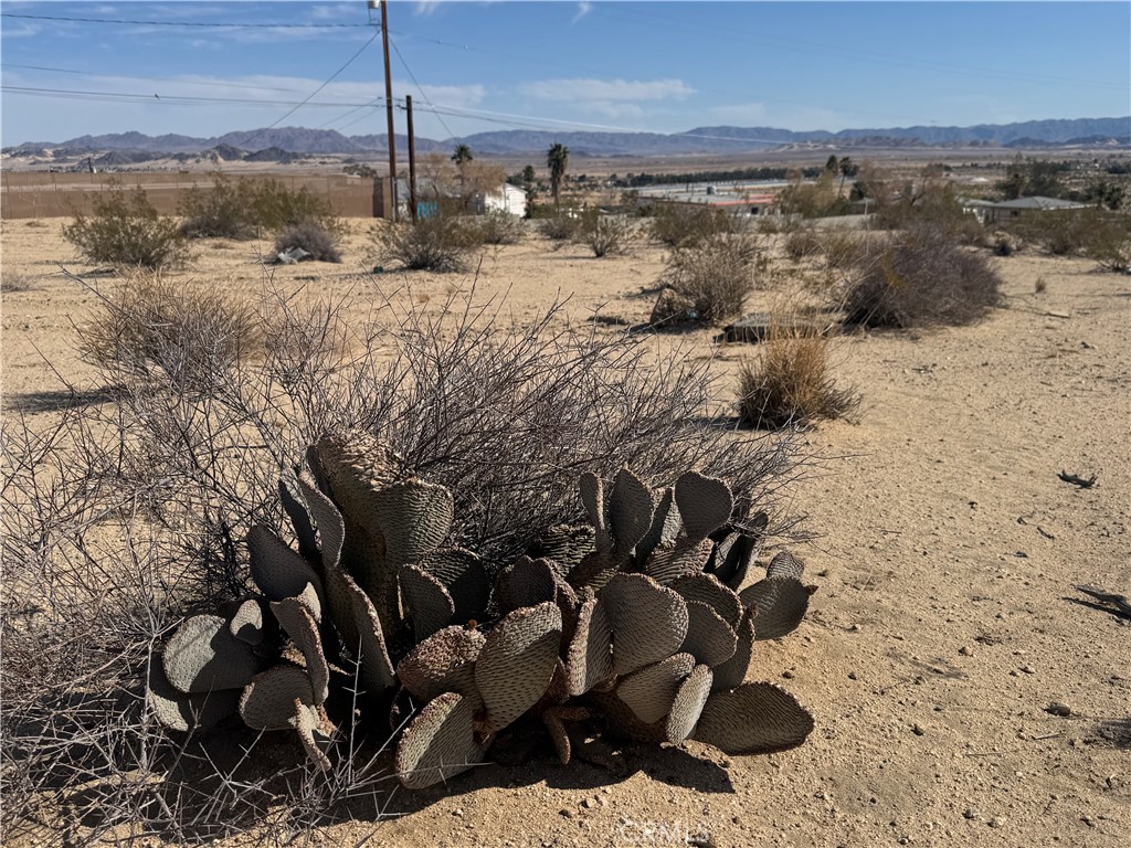 MLS #JT25062568 image #4