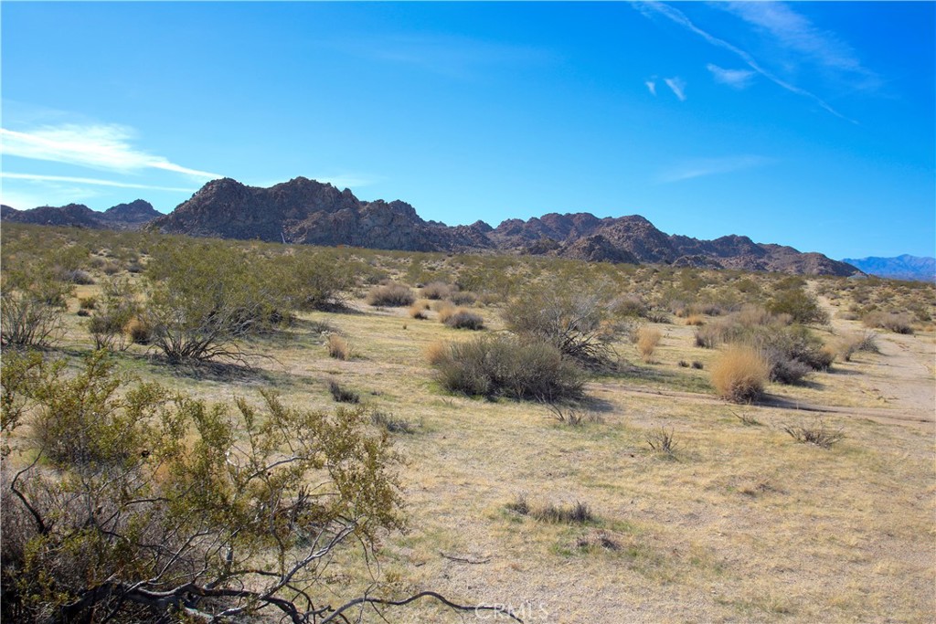 MLS #JT25063457 image #10