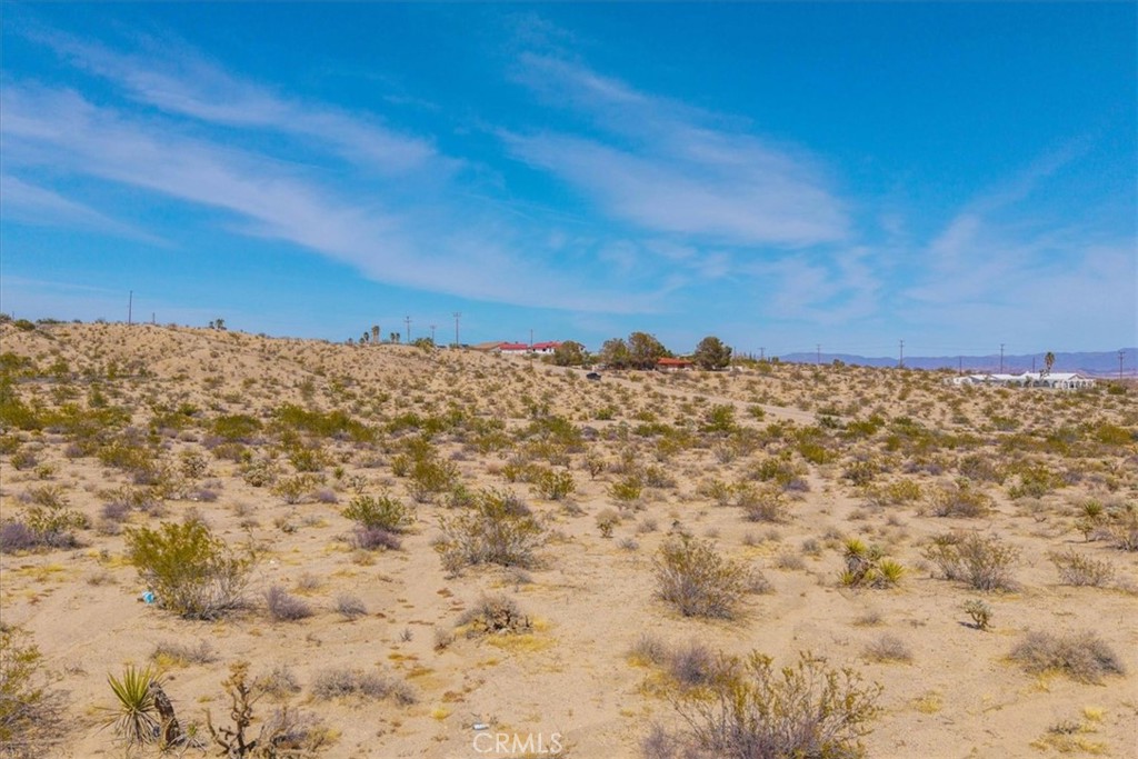 MLS #JT25063776 image #12