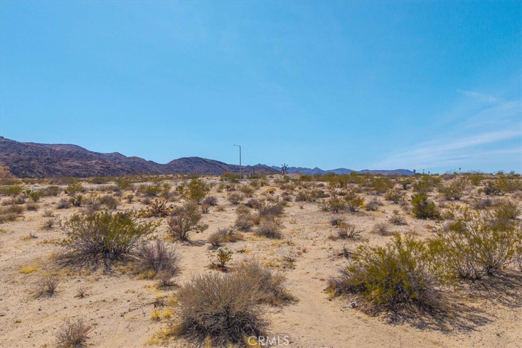 MLS #JT25063776 image #14