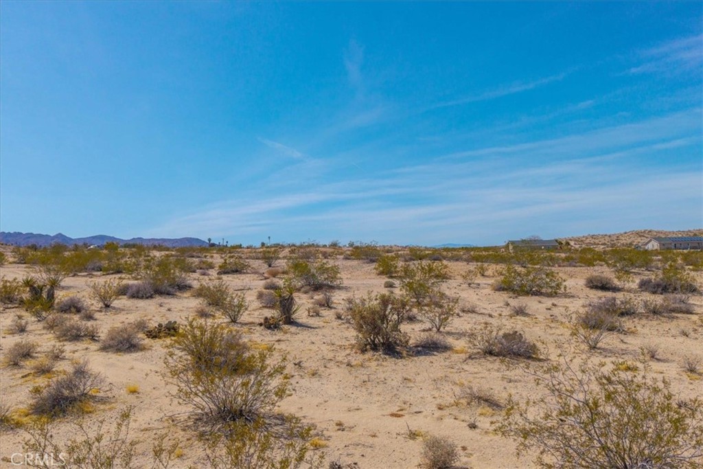 MLS #JT25063776 image #15