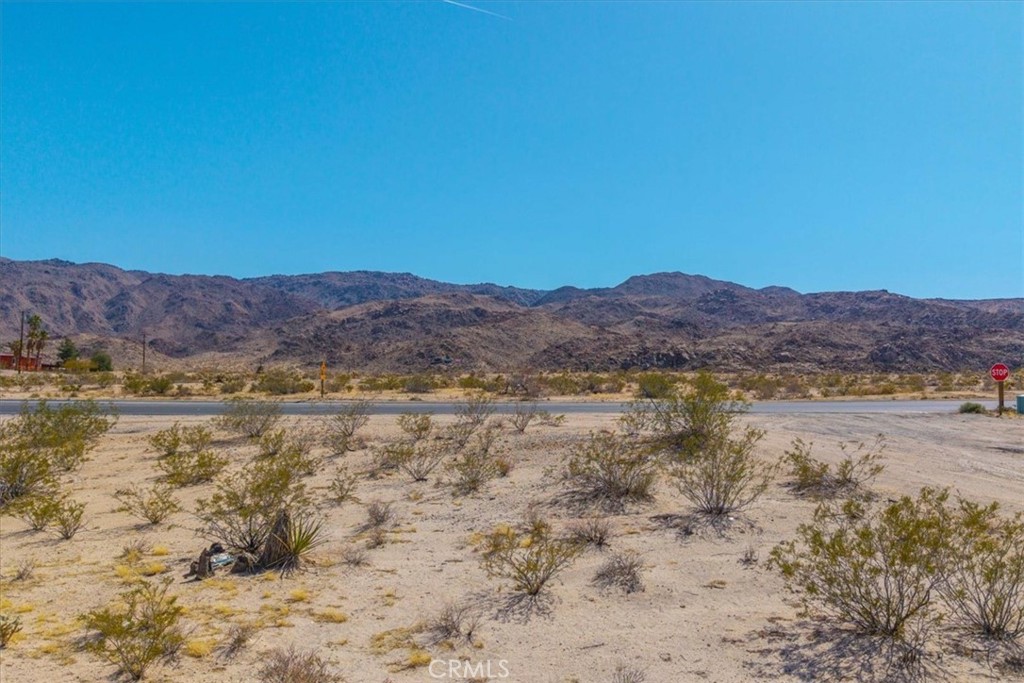 MLS #JT25063776 image #16