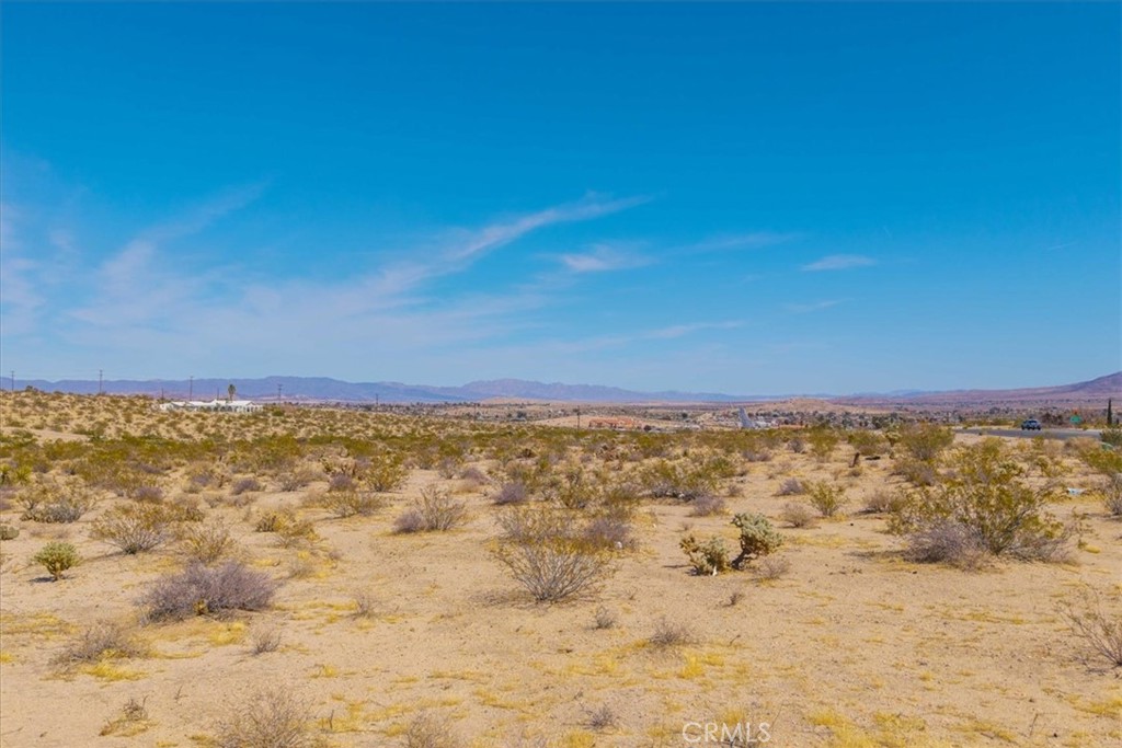 MLS #JT25063776 image #17