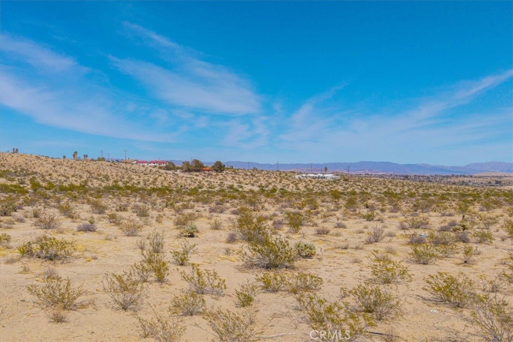 MLS #JT25063776 image #18