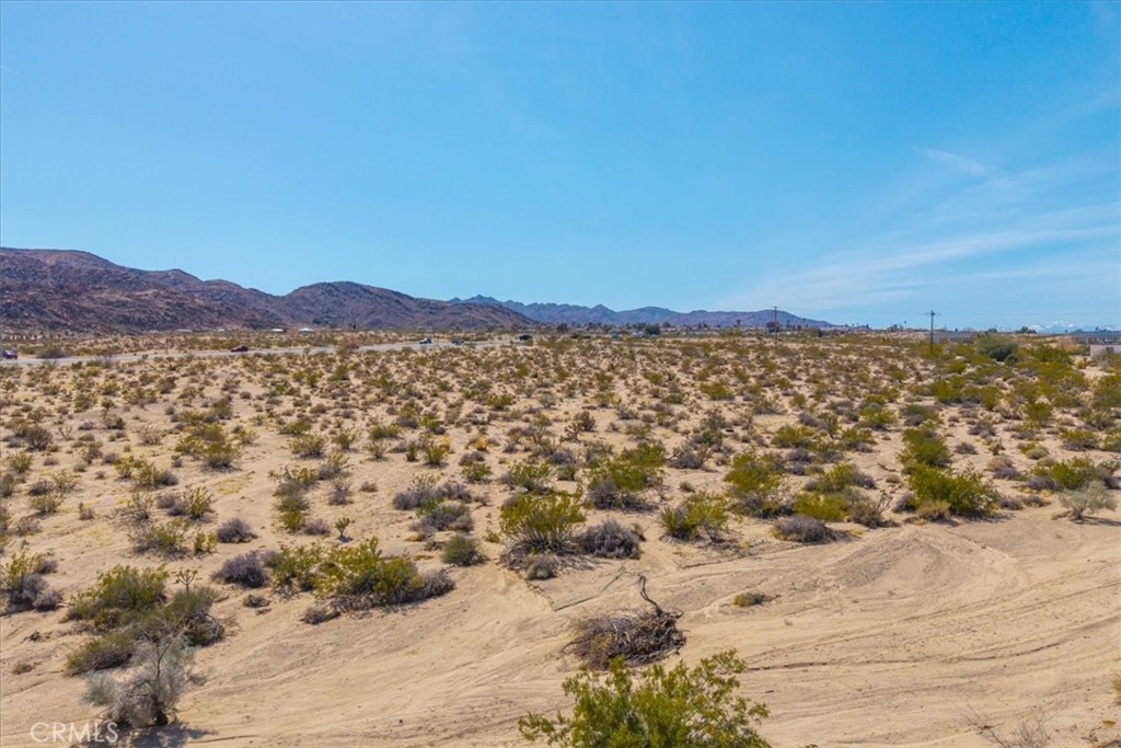 MLS #JT25063776 image #3