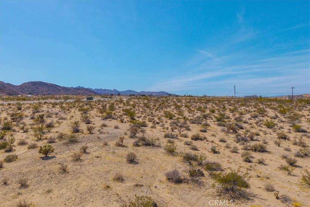 MLS #JT25063776 image #5