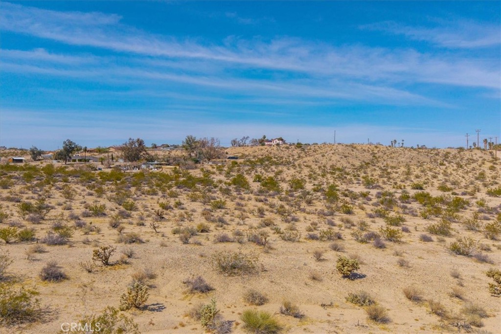 MLS #JT25063776 image #6