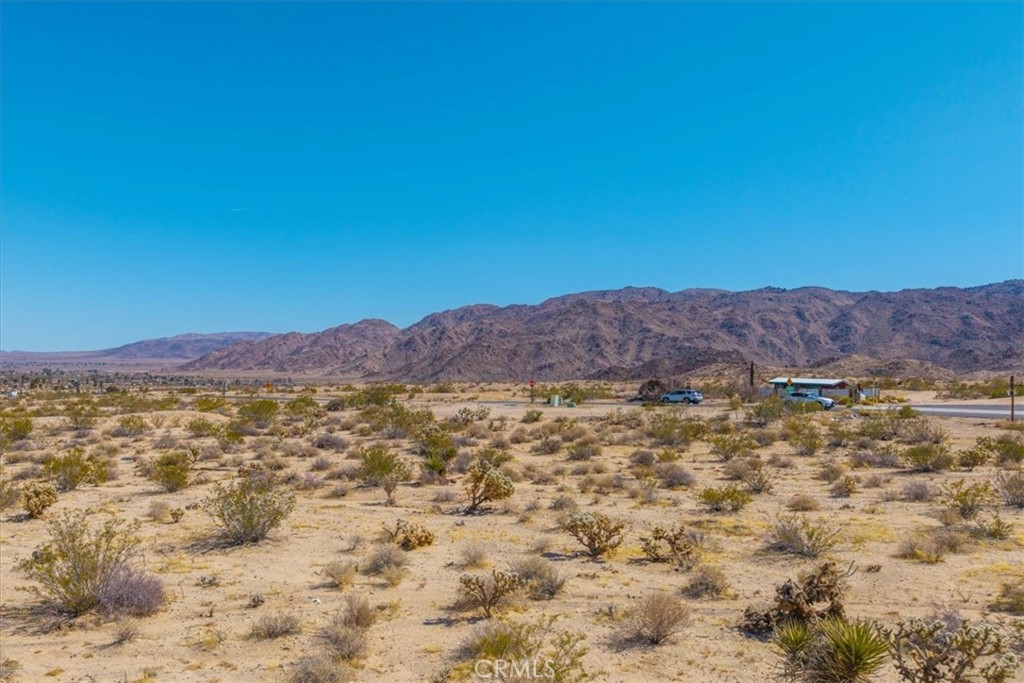 MLS #JT25063776 image #7