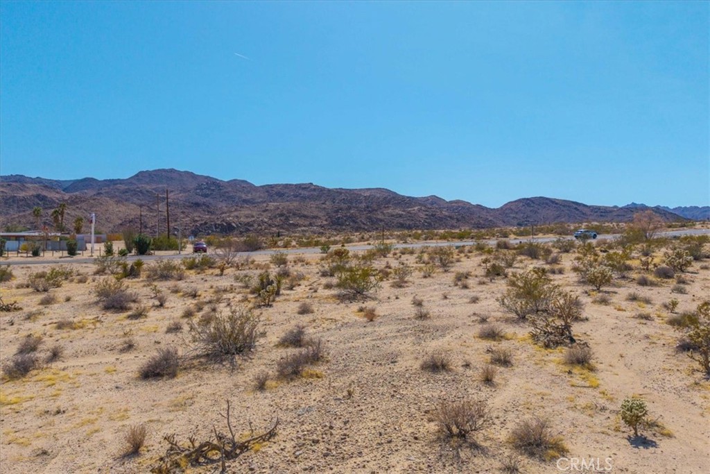 MLS #JT25063776 image #8