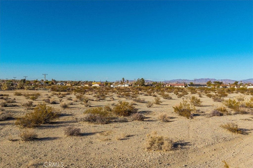 MLS #JT25064970 image #11