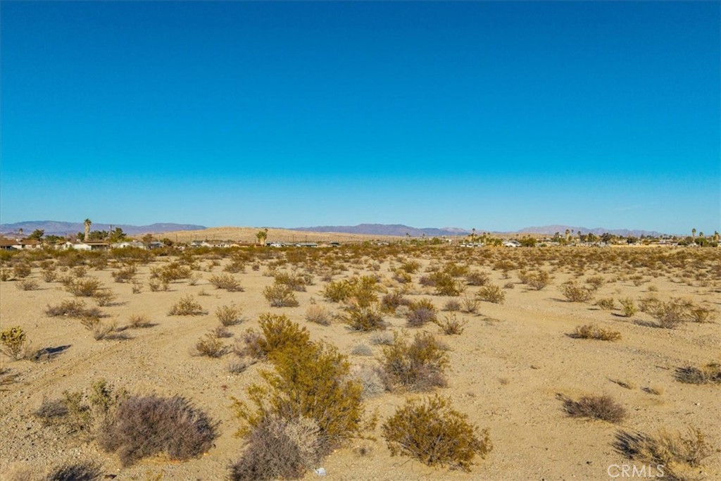 MLS #JT25064970 image #12