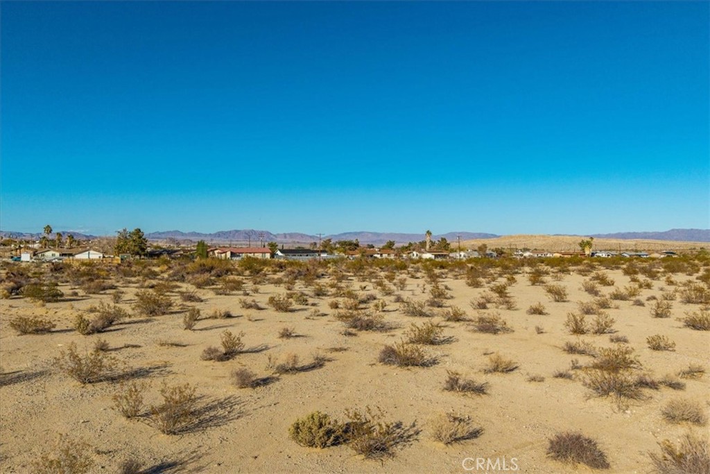 MLS #JT25064970 image #13