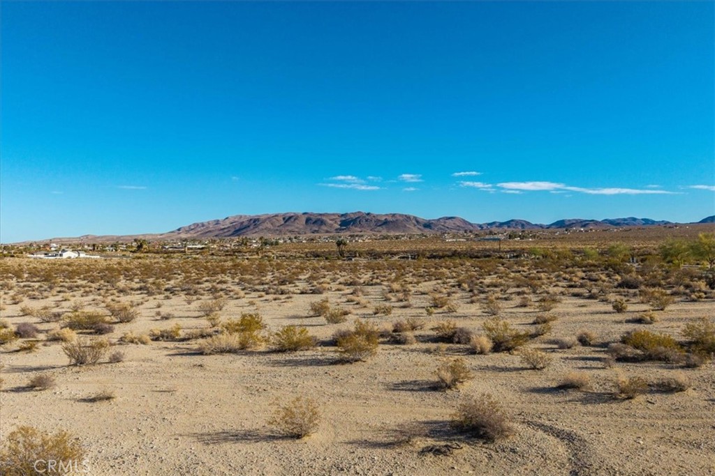 MLS #JT25064970 image #14