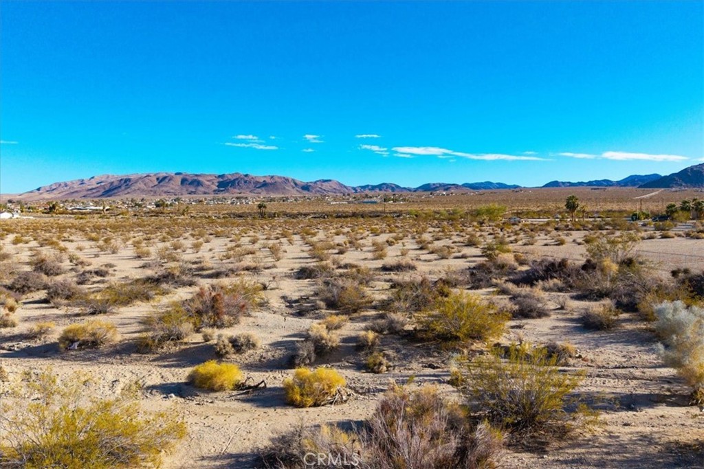 MLS #JT25064970 image #3