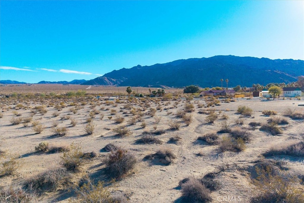 MLS #JT25064970 image #5