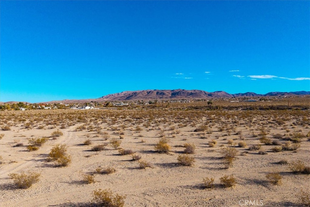 MLS #JT25064970 image #6