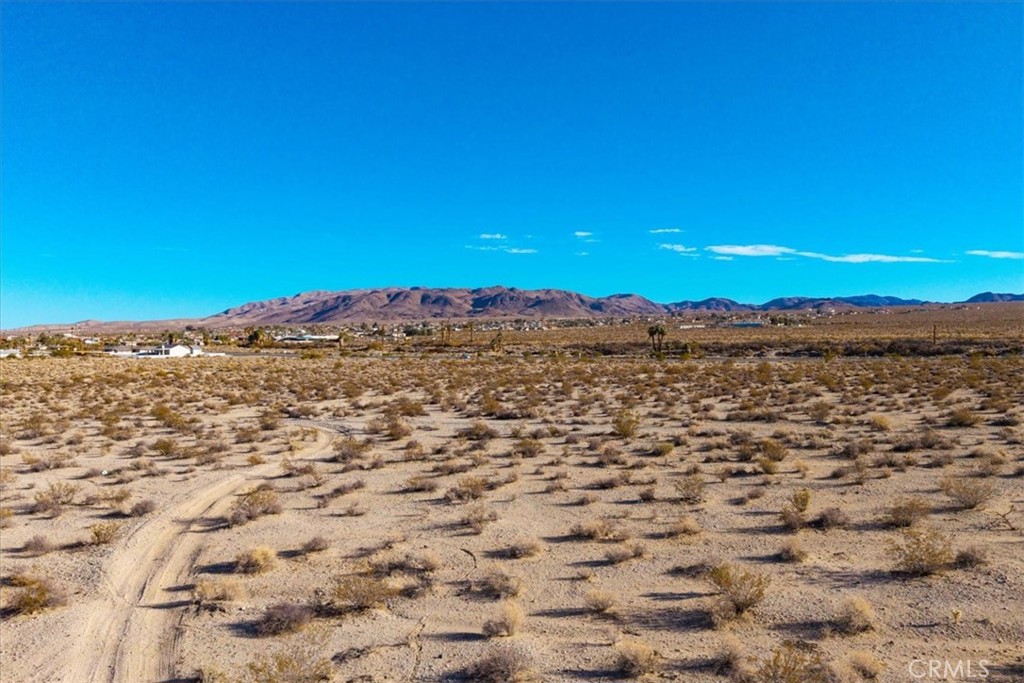 MLS #JT25064970 image #7